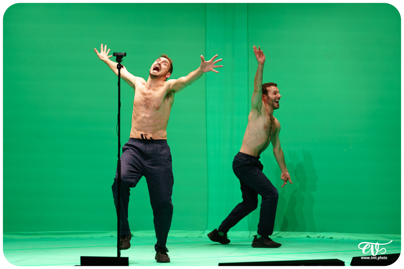 DYSTOPIA (UN POYO ROYO)